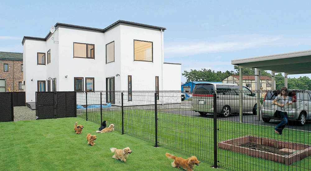 「愛犬とのふれあいが ますます楽しく快適に」