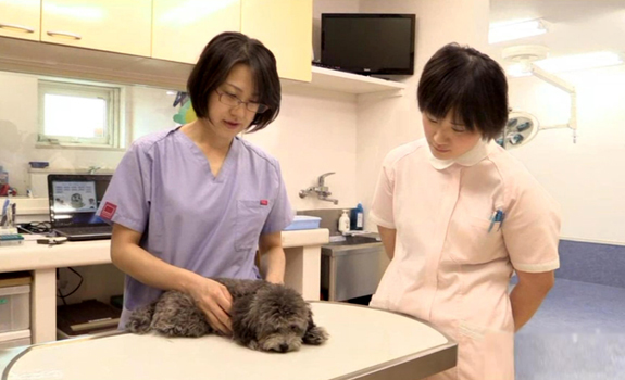 よつば動物病院　様